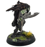 Games Workshop TAU EMPIRE Kroot Flesh Shaper COMMISSION PRO PAINTED Warhammer 40K