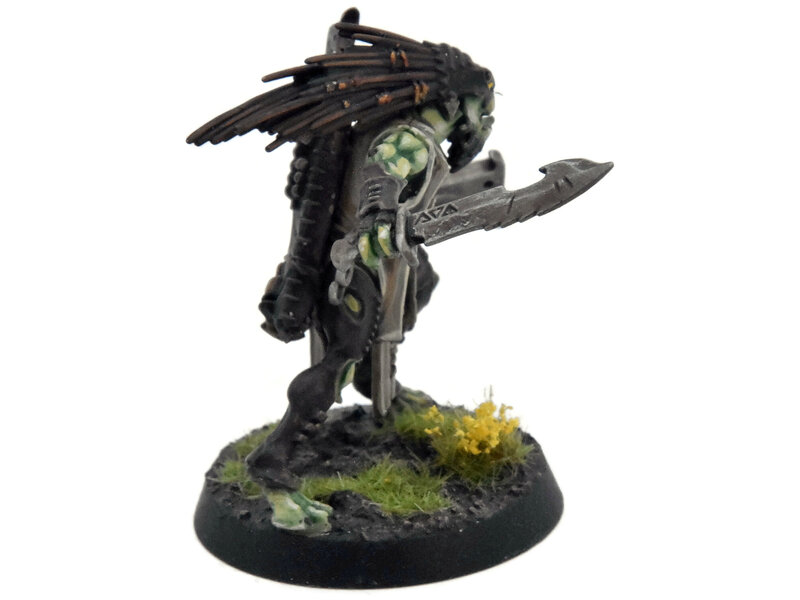 Games Workshop TAU EMPIRE Kroot Flesh Shaper COMMISSION PRO PAINTED Warhammer 40K