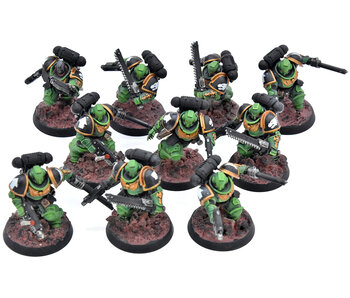SPACE MARINES 10 Assault Intercessors #1 WELL PAINTED Warhammer 40K salamanders