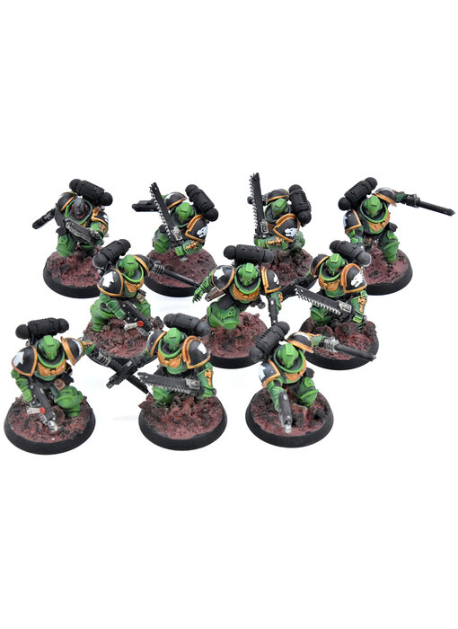SPACE MARINES 10 Assault Intercessors #1 WELL PAINTED Warhammer 40K salamanders
