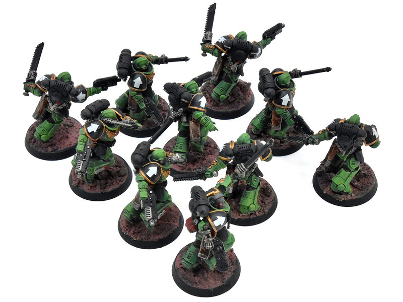 Games Workshop SPACE MARINES 10 Assault Intercessors #1 WELL PAINTED Warhammer 40K salamanders