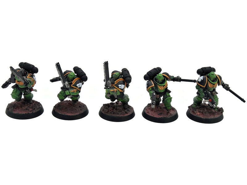 Games Workshop SPACE MARINES 10 Assault Intercessors #1 WELL PAINTED Warhammer 40K salamanders