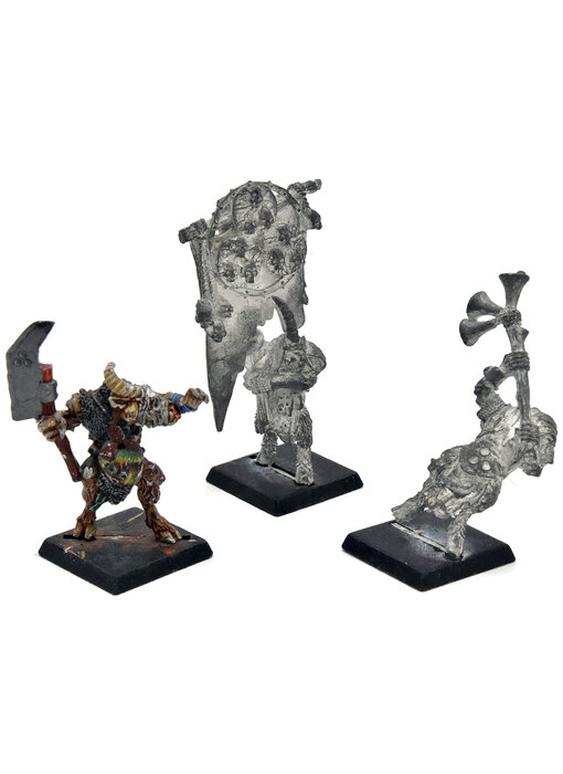 BEASTMEN 3 Pestigors Command #1 METAL Warhammer Fantasy