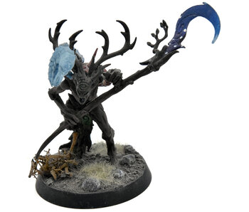 SYLVANETH Branchwych #1 Sigmar