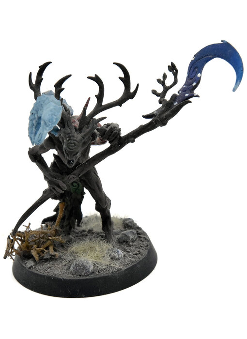 SYLVANETH Branchwych #1 Sigmar