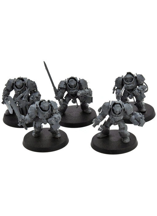 GREY KNIGHTS 5 Paladin Terminators #1 Warhammer 40K