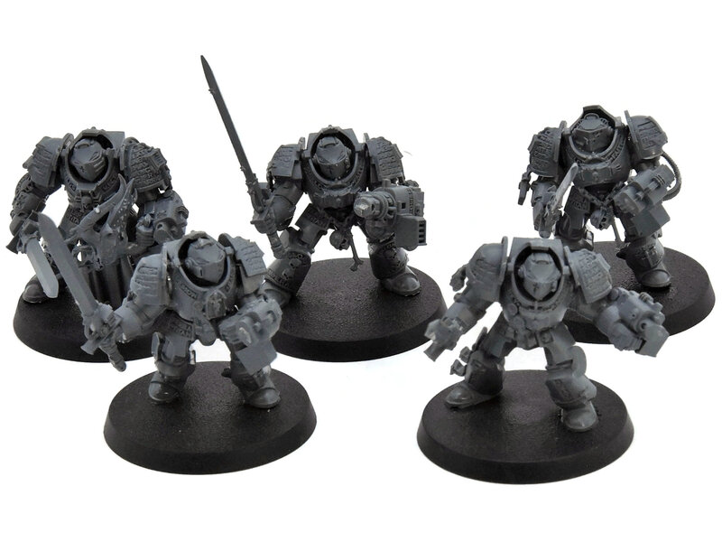 Games Workshop GREY KNIGHTS 5 Paladin Terminators #1 Warhammer 40K