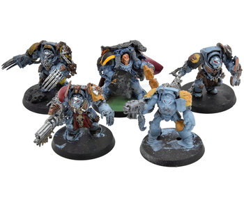 SPACE WOLVES 5 Terminator Wolf Guards #1 Warhammer 40K