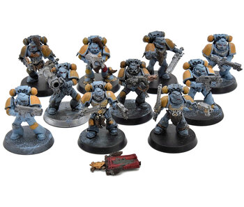 SPACE WOLVES 10 Grey Hunter #4 Warhammer 40K