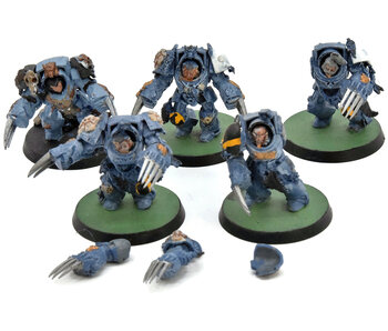 SPACE WOLVES 5 Wolf Guard Terminator #3 Warhammer 40K