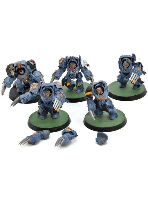 SPACE WOLVES 5 Wolf Guard Terminator #3 Warhammer 40K