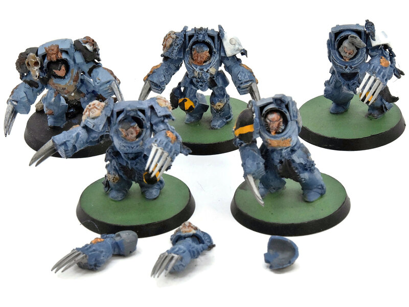 Games Workshop SPACE WOLVES 5 Wolf Guard Terminator #3 Warhammer 40K