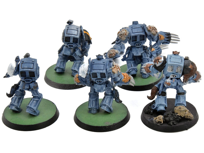 Games Workshop SPACE WOLVES 5 Wolf Guard Terminator #3 Warhammer 40K
