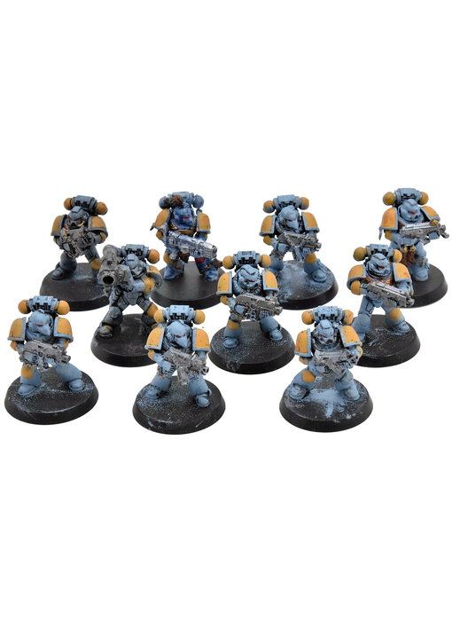 SPACE WOLVES 10 Grey Hunter #2 Warhammer 40K