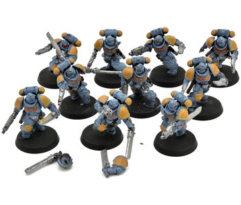 SPACE WOLVES 10 Assault Intercessors #1 Warhammer 40K