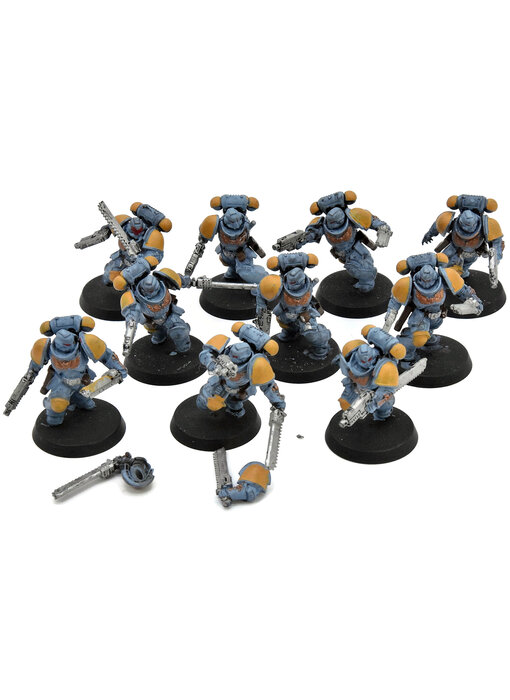 SPACE WOLVES 10 Assault Intercessors #1 Warhammer 40K