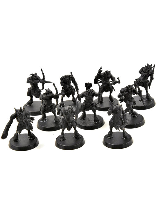 BEASTS OF CHAOS 10 Ungors Raiders #1 Sigmar
