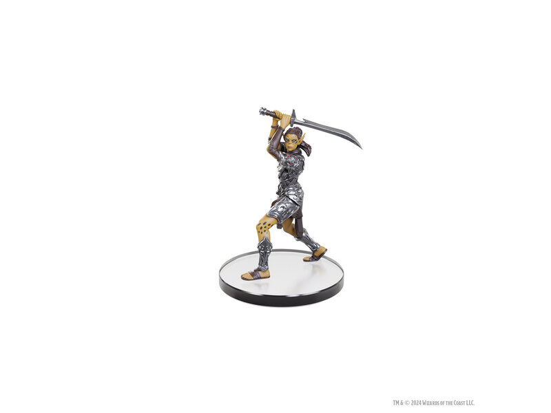 Wizkids D&D Icons Baldurs Gate 3 Character Boxed Set
