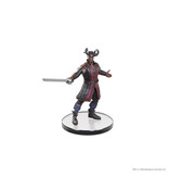 Wizkids D&D Icons Baldurs Gate 3 Character Boxed Set