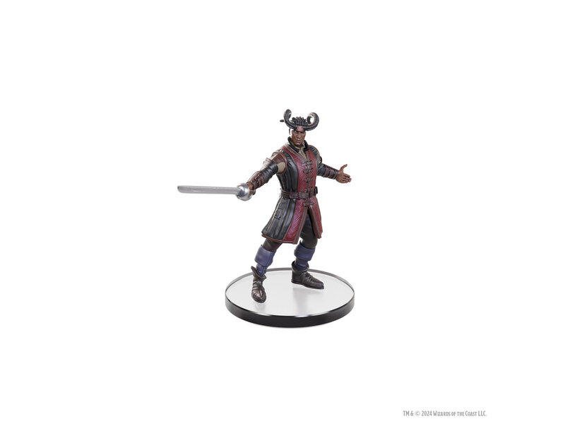 Wizkids D&D Icons Baldurs Gate 3 Character Boxed Set