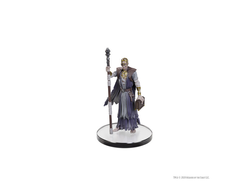 Wizkids D&D Icons Baldurs Gate 3 Character Boxed Set