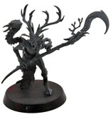 Games Workshop SYLVANETH Branchwych #1 Warhammer Sigmar