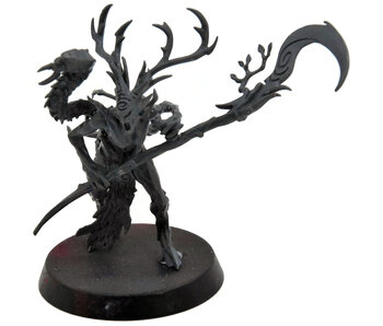 SYLVANETH Branchwych #1 Warhammer Sigmar