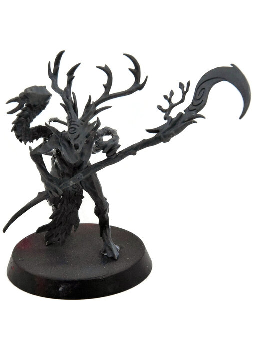 SYLVANETH Branchwych #1 Warhammer Sigmar