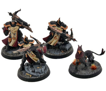 STORMCAST ETERNALS 3 Castigators with Gryph-Hounds #1 WELL PAINTED Sigmar