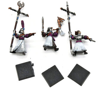 HIGH ELVES 3 Archer Command #7 2-Banner Warhammer Fantasy
