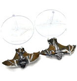 Games Workshop VAMPIRE COUNTS 2 Giant Bats #1 METAL Fantasy