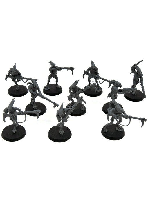 TAU EMPIRE 10 Kroot Carnivores #3 Warhammer 40K