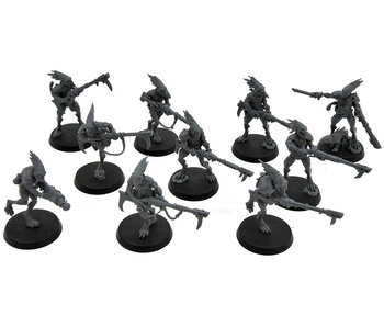 TAU EMPIRE 10 Kroot Carnivores #8 Warhammer 40K