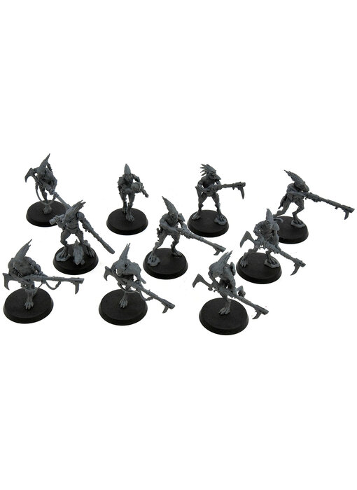 TAU EMPIRE 10 Kroot Carnivores #10 Warhammer 40K