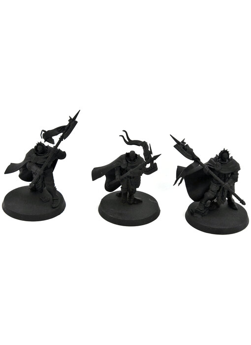 STORMCAST ETERNALS 3 Praetors #1 Warhammer Sigmar