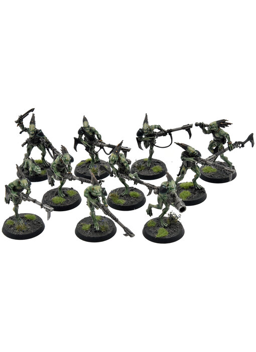 TAU EMPIRE 10 Kroot Carnivores #1 PRO PAINTED Warhammer 40K