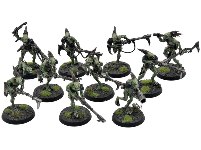 Games Workshop TAU EMPIRE 10 Kroot Carnivores #1 PRO PAINTED Warhammer 40K