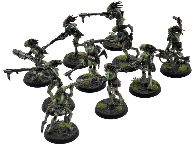 Games Workshop TAU EMPIRE 10 Kroot Carnivores #1 PRO PAINTED Warhammer 40K