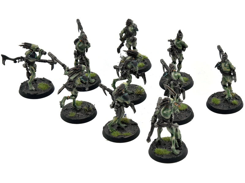 Games Workshop TAU EMPIRE 10 Kroot Carnivores #1 PRO PAINTED Warhammer 40K