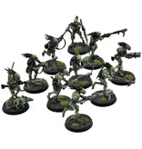 Games Workshop TAU EMPIRE 10 Kroot Carnivores #1 PRO PAINTED Warhammer 40K