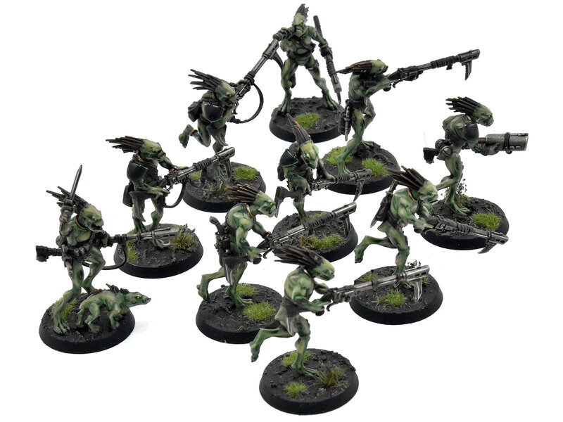 Games Workshop TAU EMPIRE 10 Kroot Carnivores #1 PRO PAINTED Warhammer 40K