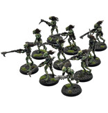 Games Workshop TAU EMPIRE 10 Kroot Carnivores #2 PRO PAINTED Warhammer 40K