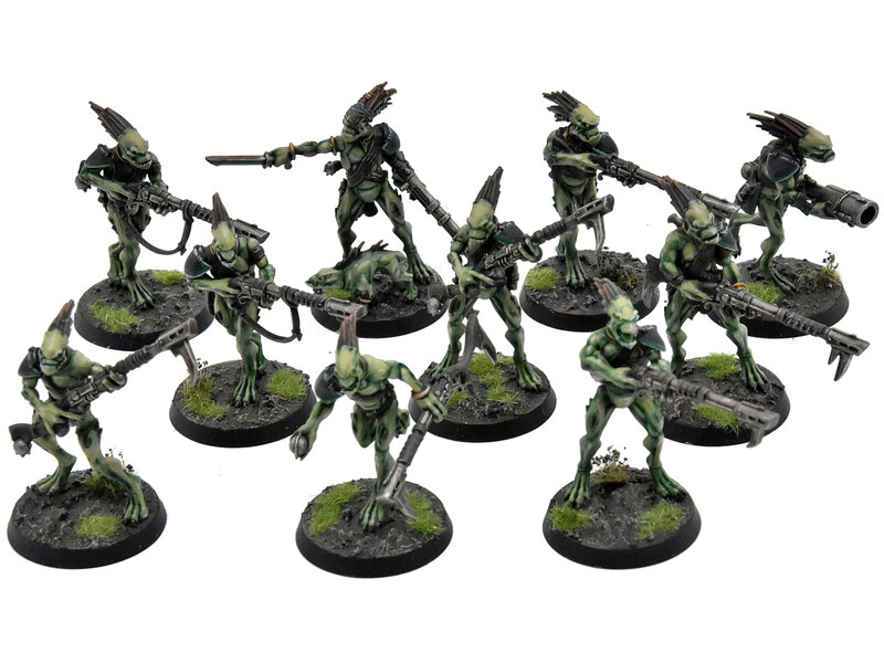 Games Workshop TAU EMPIRE 10 Kroot Carnivores #2 PRO PAINTED Warhammer 40K