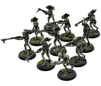 TAU EMPIRE 10 Kroot Carnivores COMMISSION PRO PAINTED Warhammer 40K