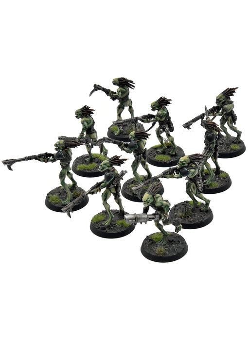 TAU EMPIRE 10 Kroot Carnivores COMMISSION PRO PAINTED Warhammer 40K