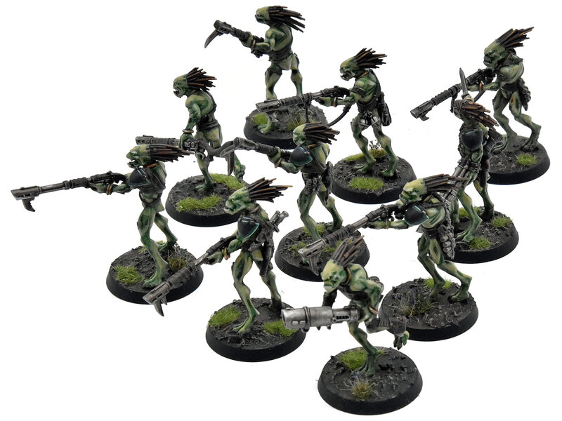 Games Workshop TAU EMPIRE 10 Kroot Carnivores COMMISSION PRO PAINTED Warhammer 40K