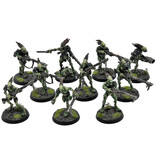 Games Workshop TAU EMPIRE 10 Kroot Carnivores COMMISSION PRO PAINTED Warhammer 40K