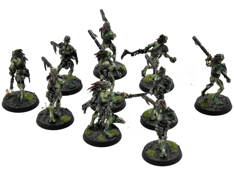 Games Workshop TAU EMPIRE 10 Kroot Carnivores COMMISSION PRO PAINTED Warhammer 40K