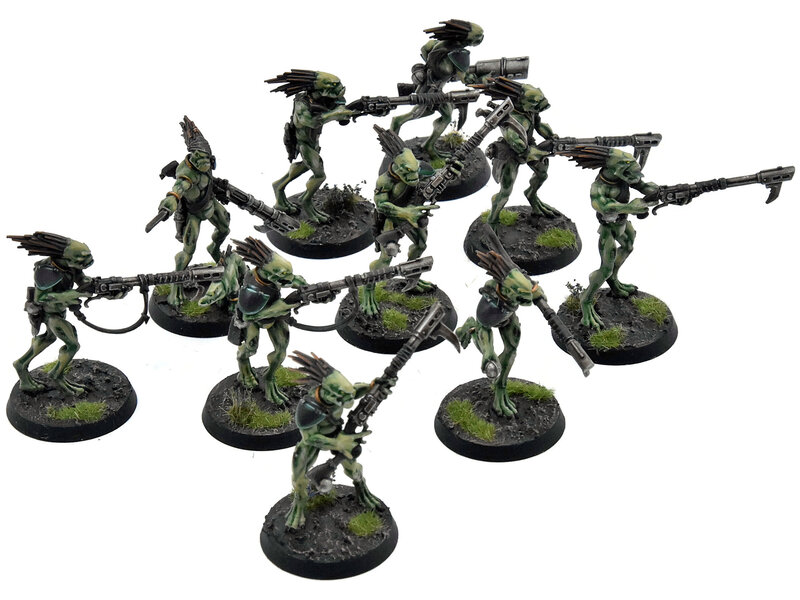 Games Workshop TAU EMPIRE 10 Kroot Carnivores COMMISSION PRO PAINTED Warhammer 40K