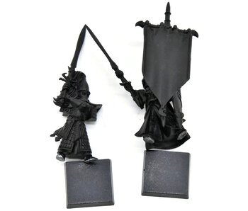 HIGH ELVES Swordmaster Banner & Captain #1 Warhammer Fantasy